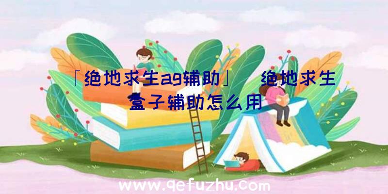 「绝地求生ag辅助」|绝地求生盒子辅助怎么用